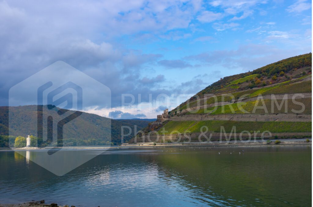 Wine and Rhine in Ruedesheim
