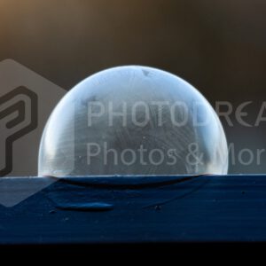 Frozen Bubble in Winter